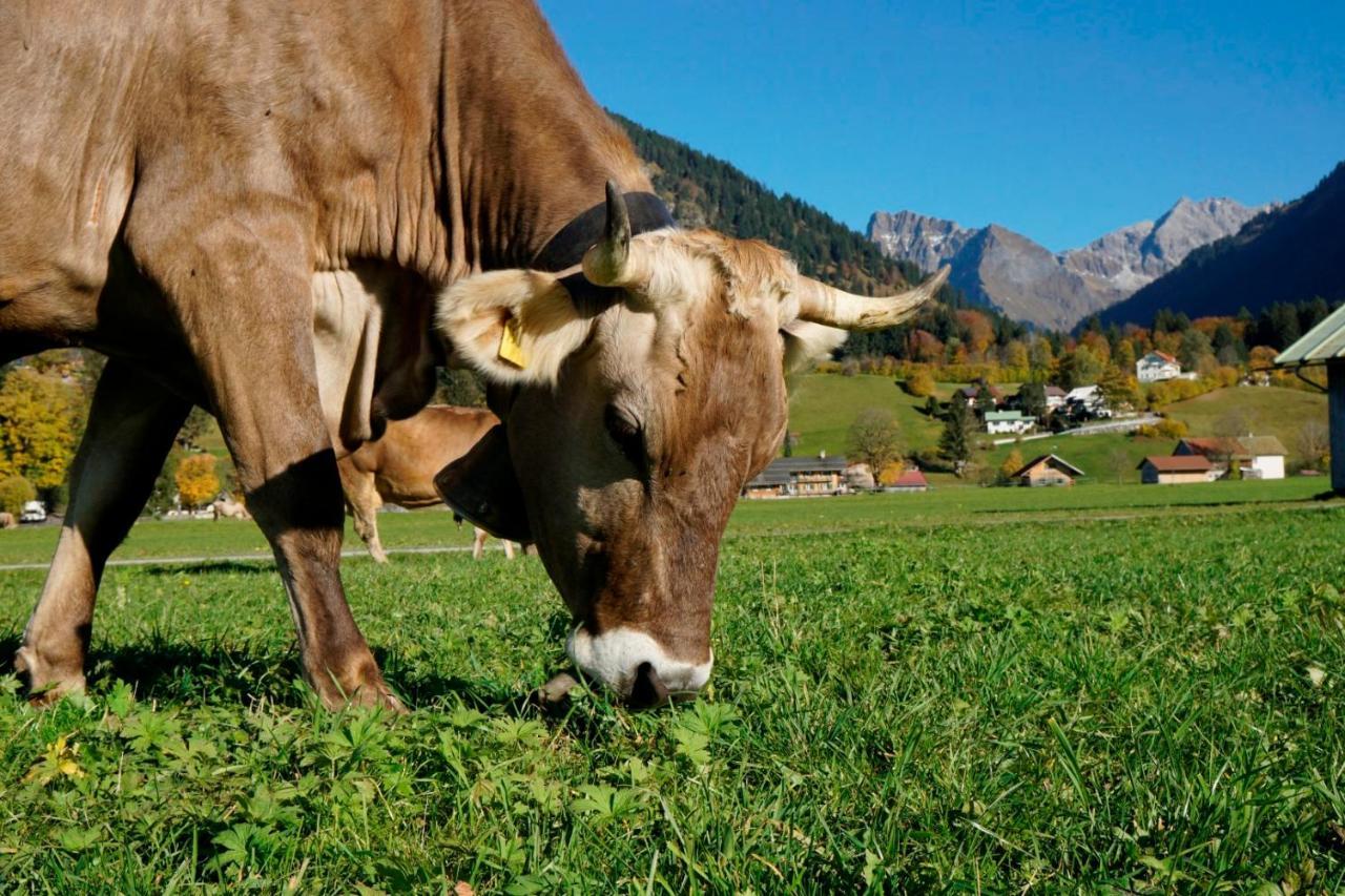 Wiesenblick Oberstdorf Ngoại thất bức ảnh